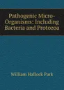 Pathogenic Micro-Organisms: Including Bacteria and Protozoa - William Hallock Park