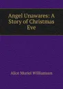 Angel Unawares: A Story of Christmas Eve - Alice Muriel Williamson