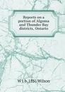 Reports on a portion of Algoma and Thunder Bay districts, Ontario - W J. b. 1851 Wilson