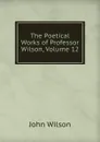The Poetical Works of Professor Wilson, Volume 12 - John Wilson