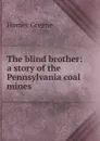 The blind brother: a story of the Pennsylvania coal mines - Homer Greene