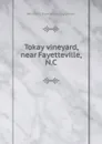 Tokay vineyard, near Fayetteville, N.C - Wharton J] [from old catalog] [Green