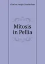 Mitosis in Pellia - Charles Joseph Chamberlain