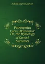 Patronymica Cornu-Britannica: Or, the Etymology of Cornish Surnames - Richard Stephen Charnock