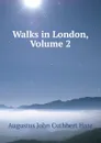 Walks in London, Volume 2 - Augustus John Cuthbert Hare