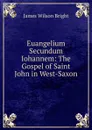 Euangelium Secundum Iohannem: The Gospel of Saint John in West-Saxon - James Wilson Bright