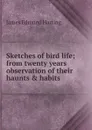 Sketches of bird life; from twenty years observation of their haunts . habits - James Edmund Harting