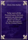 Tulip ware of the Pennsylvania-German potters: an historical sketch of the art of slip-decoration in the United States - Edwin Atlee Barber