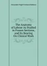 The Anatomy of Labour As Studied in Frozen Sections, and Its Bearing On Clinical Work - Alexander Hugh Freeland Barbour