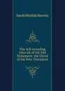 The self-revealing Jehovah of the Old Testament: the Christ of the New Testament - Sarah Matilda Barclay