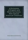 A Dictionary of English and Welsh Surnames: With Special American Instances - Charles Wareing Endell Bardsley