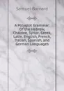 A Polyglot Grammar: Of the Hebrew, Chaldee, Syriac, Greek, Latin, English, French, Italian, Spanish, and German Languages - Samuel Barnard