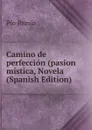 Camino de perfeccion (pasion mistica, Novela (Spanish Edition) - Pío Baroja