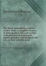 The great metropolis, a mirror of New York: a complete history of metropolitan life and society, with sketches of prominent places, persons, and things in the city, as they actually exist - Junius Henri Browne