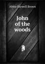 John of the woods - Abbie Farwell Brown
