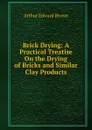 Brick Drying: A Practical Treatise On the Drying of Bricks and Similar Clay Products - Arthur Edward Brown