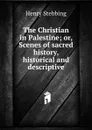 The Christian in Palestine; or, Scenes of sacred history, historical and descriptive - Stebbing Henry