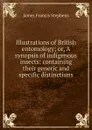 Illustrations of British entomology; or, A synopsis of indigenous insects: containing their generic and specific distinctions - James Francis Stephens