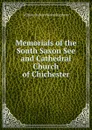 Memorials of the South Saxon See and Cathedral Church of Chichester - William Richard Wood Stephens