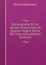 Escavazione Di Un Antico Diverticolo Al Quarto Miglio Della Via Tiburtina (Italian Edition) - Enrico Stevenson