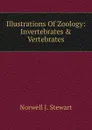 Illustrations Of Zoology: Invertebrates . Vertebrates - Norwell J. Stewart