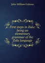 First steps in Zulu: being an elementary grammar of the Zulu language - John William Colenso