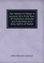 Ten Weeks in Natal: A Journal of a First Tour of Visitation Among the Colonists and Zulu Kafirs of Natal - John William Colenso