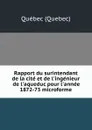 Rapport du surintendant de la cite et de l'ingenieur de l'aqueduc pour l'annee 1872-73 microforme - Québec Quebec