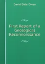 First Report of a Geological Reconnoissance - David Dale Owen