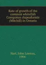 Rate of growth of the common whitefish Coregonus clupeaformis (Mitchill) in Ontario - John Lawson Hart