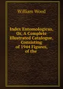 Index Entomologicus, Or, A Complete Illustrated Catalogue, Consisting of 1944 Figures, of the . - William Wood