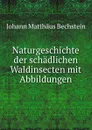Naturgeschichte der schadlichen Waldinsecten mit Abbildungen - Johann Matthäus Bechstein