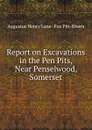Report on Excavations in the Pen Pits, Near Penselwood, Somerset - Augustus Henry Lane Fox Pitt-Rivers