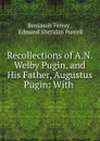 Recollections of A.N. Welby Pugin, and His Father, Augustus Pugin: With - Benjamin Ferrey
