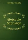 Abriss der Soziologie - Albert E. F. Schäffle