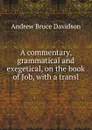 A commentary, grammatical and exegetical, on the book of Job, with a transl - A.B. Davidson