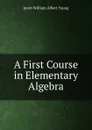 A First Course in Elementary Algebra - Jacob William Albert Young