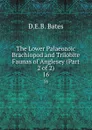 The Lower Palaeozoic Brachiopod and Trilobite Faunas of Anglesey (Part 2 of 2). 16 - D.E. B. Bates