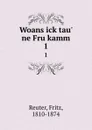Woans ick tau. ne Fru kamm. 1 - Fritz Reuter