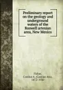 Preliminary report on the geology and underground waters of the Roswell artesian area, New Mexico - Cassius Asa Fisher