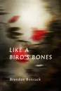 Like a Bird.s Bones - Brendan Bonsack