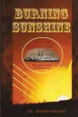 Burning Sunshine - Marilyn Pavlovsky