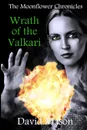 Wrath of the Valkari - David Mason