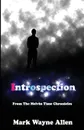 Introspection. From The Melvin Time Chronicles - Mark Wayne Allen