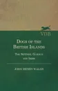 Dogs Of The British Islands. The Setters.Gordon And Irish. - John Henry Walsh