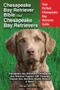 Chesapeake Bay Retriever Bible and Chesapeake Bay Retrievers. Your Perfect Chesapeake Bay Retriever Guide Chesapeake Bay Retrievers, Chesapeake Bay Retriever Puppies, CBR Training, Chessie Size, Nutrition, Health, History, . More. - 