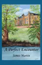 A Perfect Encounter - James Martin