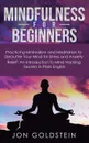 Mindfulness for Beginners. Practicing Minimalism and Meditation to Declutter Your Mind for Stress and Anxiety Relief: An Introduction to Mind Hacking Secrets in Plain English - Jon Goldstein