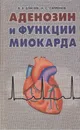 Аденозин и функции миокарда - Елисеев Валерий Владимирович