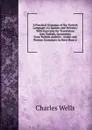 A Practical Grammar of the Turkish Language (As Spoken and Written): With Exercises for Translation Into Turkish, Quotations from Turkish Authors . Arabic and Persian Grammars As Have Been a - Charles Wells
